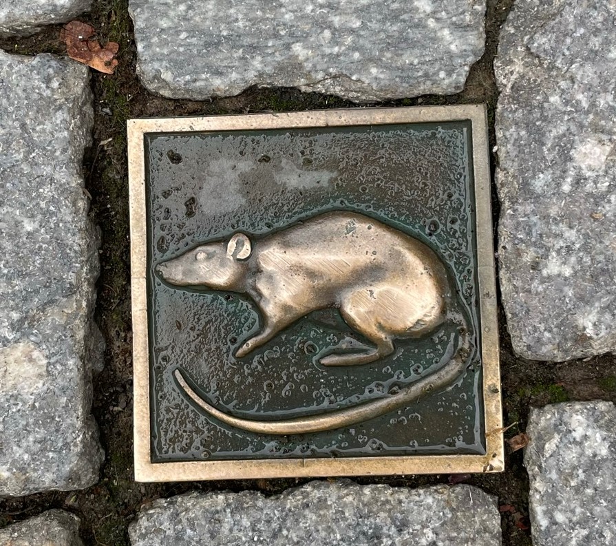Stolperstein Ratte